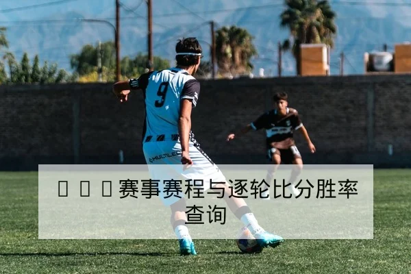 西甲比赛射门效率与控球率数据解读